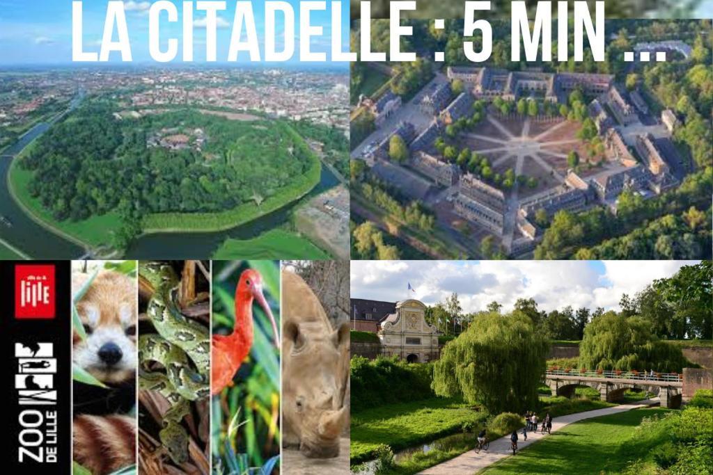 Sparadise Lille Eksteriør bilde